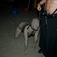 Animation de soirée show panthère