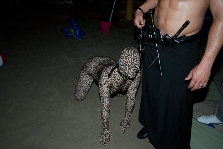 Animation de soirée show panthère