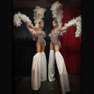 Échassier burlesque blanc Suisse