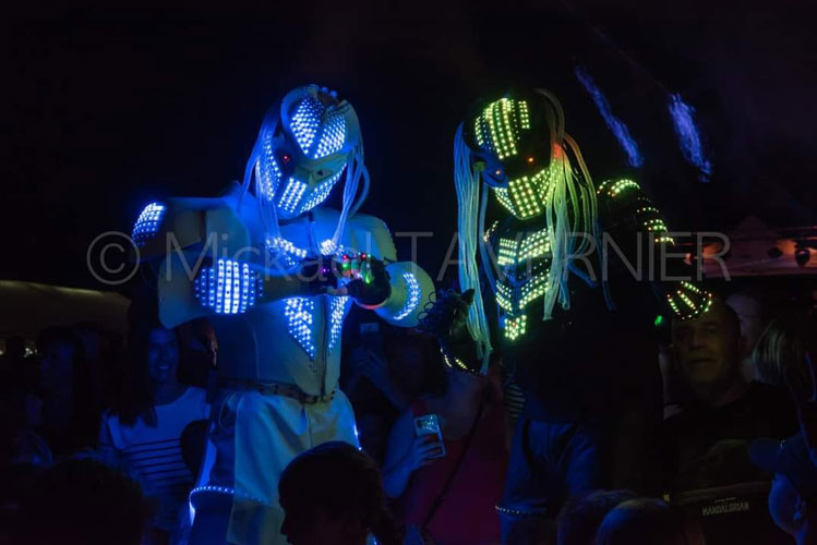 Échassier lumineux Suisse