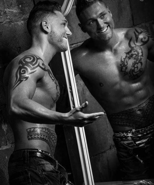 Chippendale Suisse Tyler